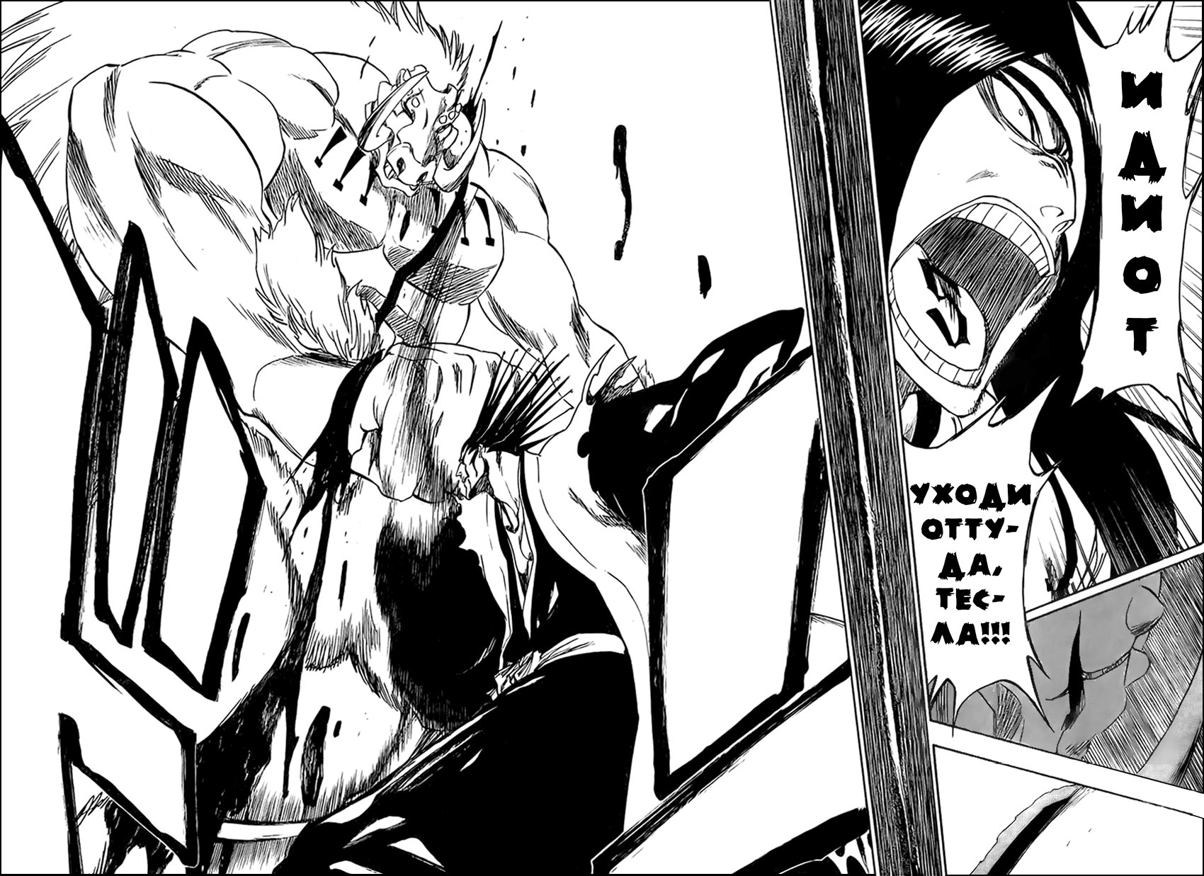 Read Bleach RU Manga Online