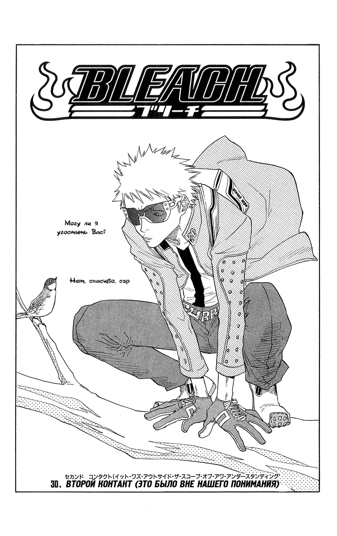 Read Bleach RU Manga Online