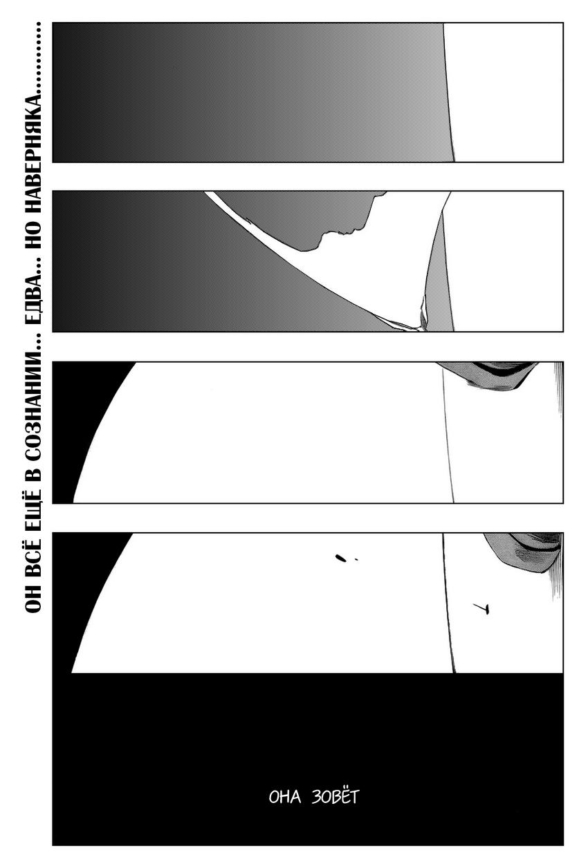 Read Bleach RU Manga Online