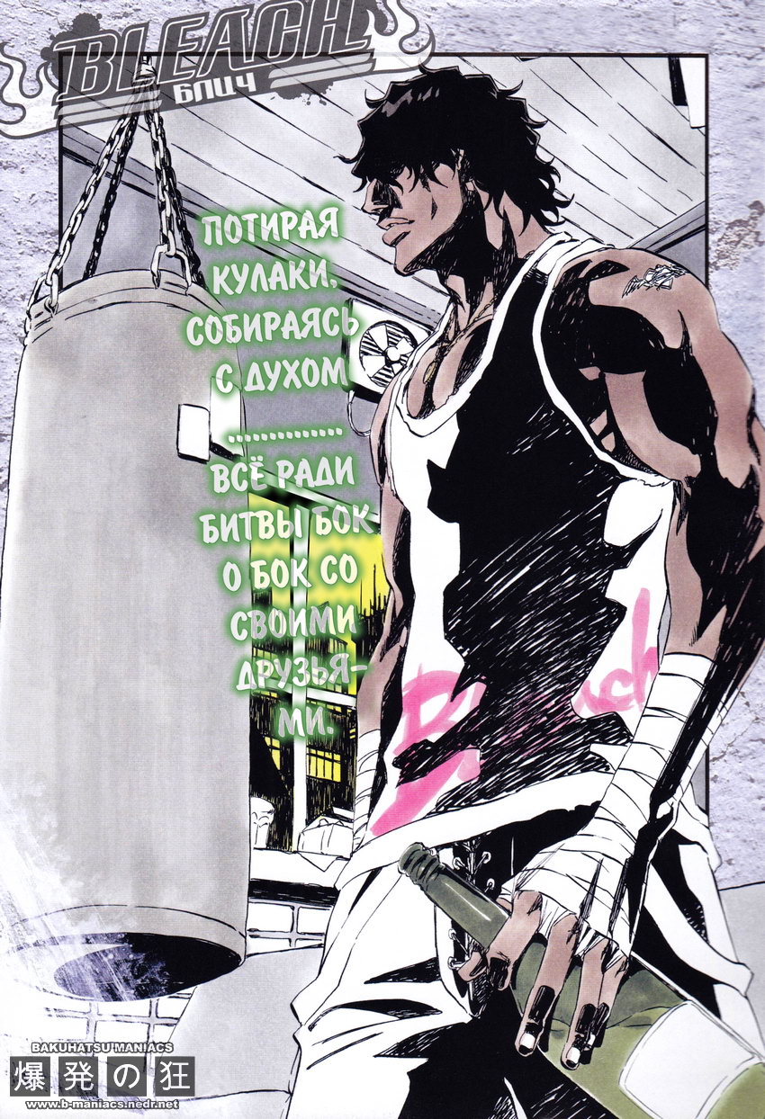 Read Bleach RU Manga Online