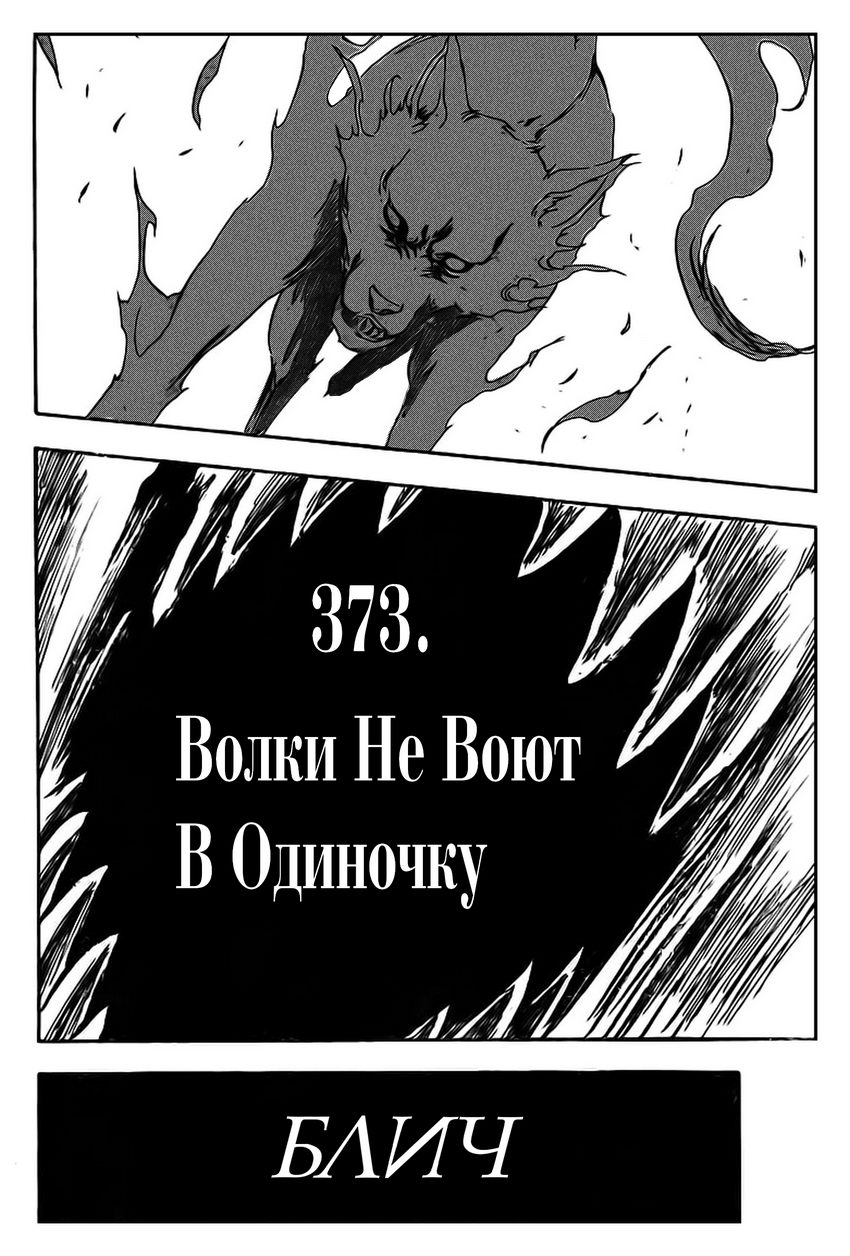 Read Bleach RU Manga Online