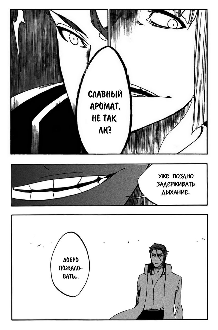 Read Bleach RU Manga Online