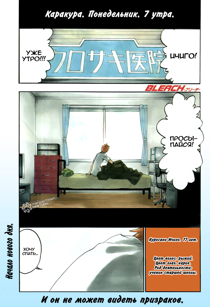 Read Bleach RU Manga Online