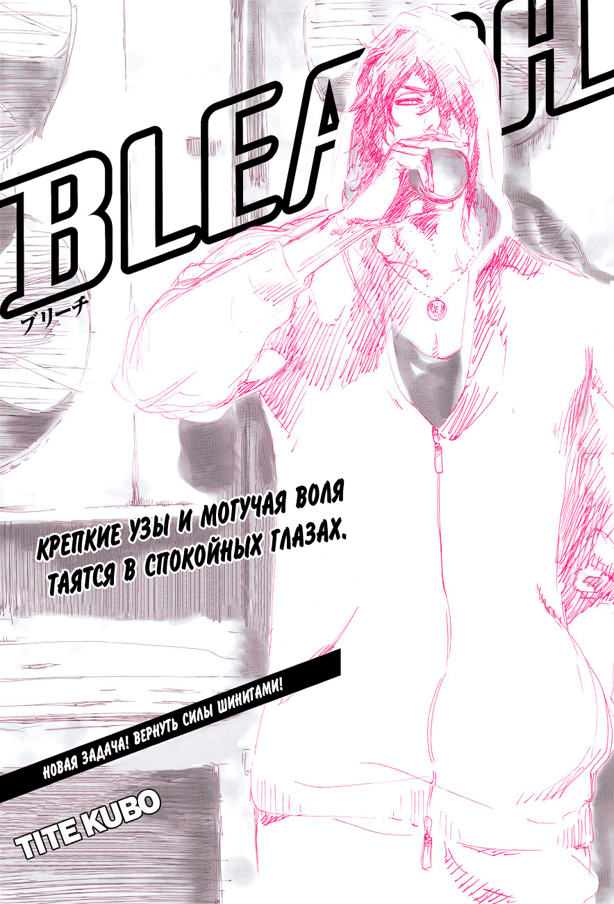 Read Bleach RU Manga Online
