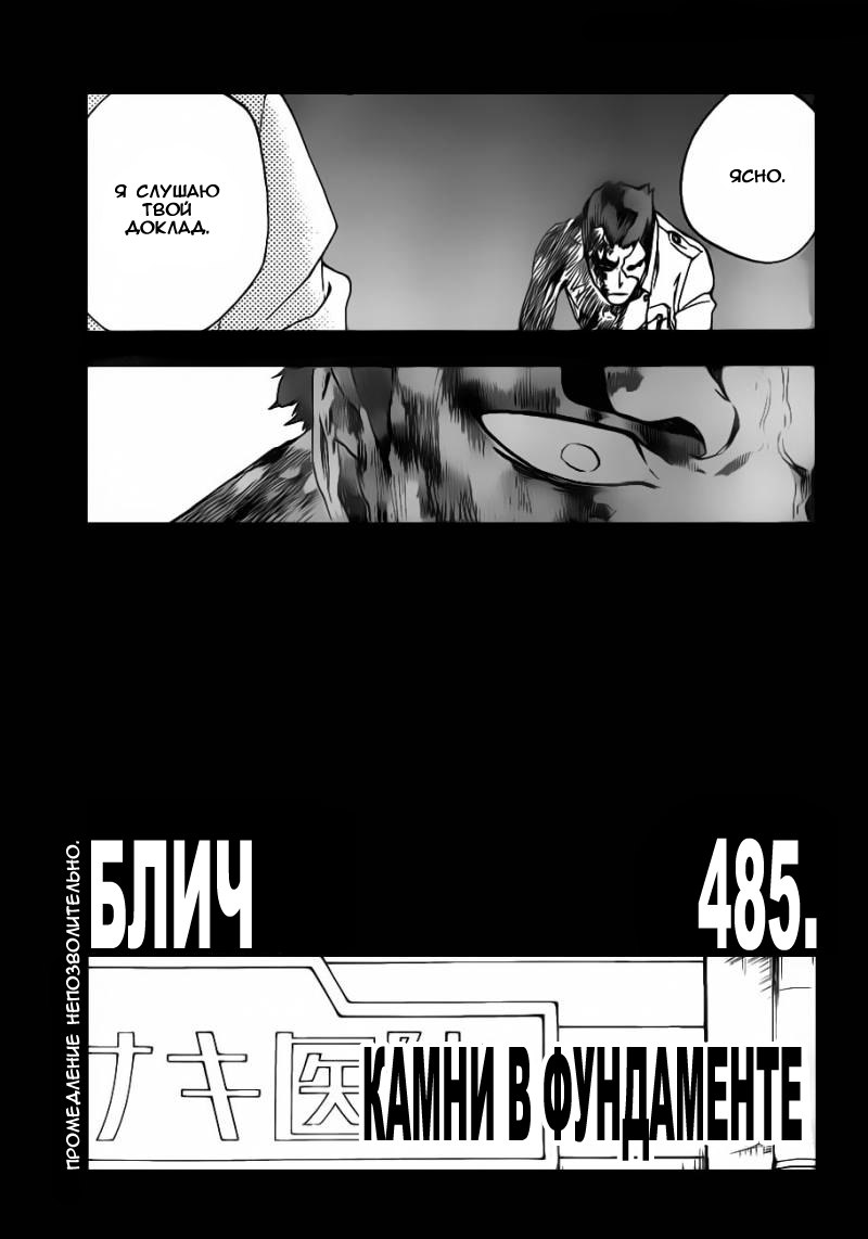 Read Bleach RU Manga Online