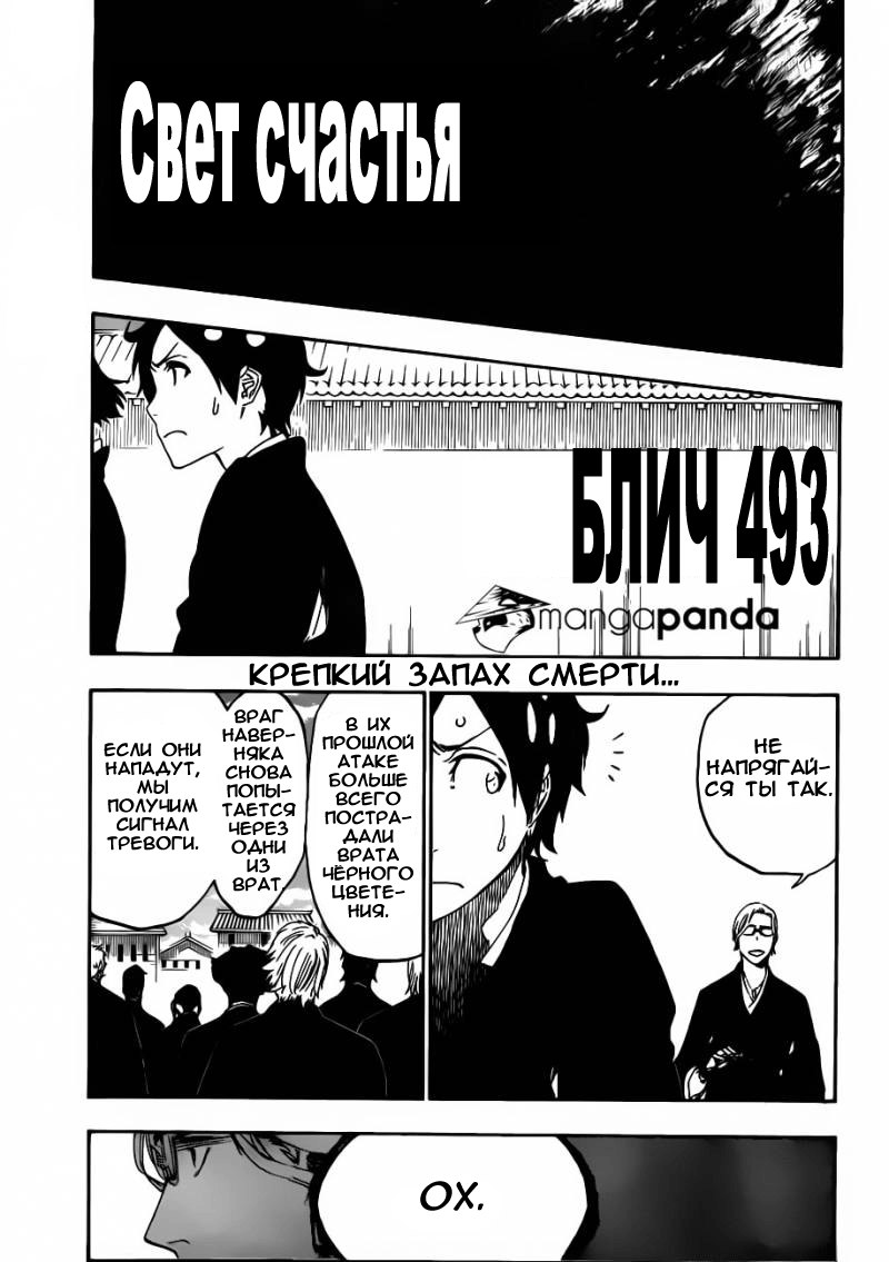 Read Bleach RU Manga Online