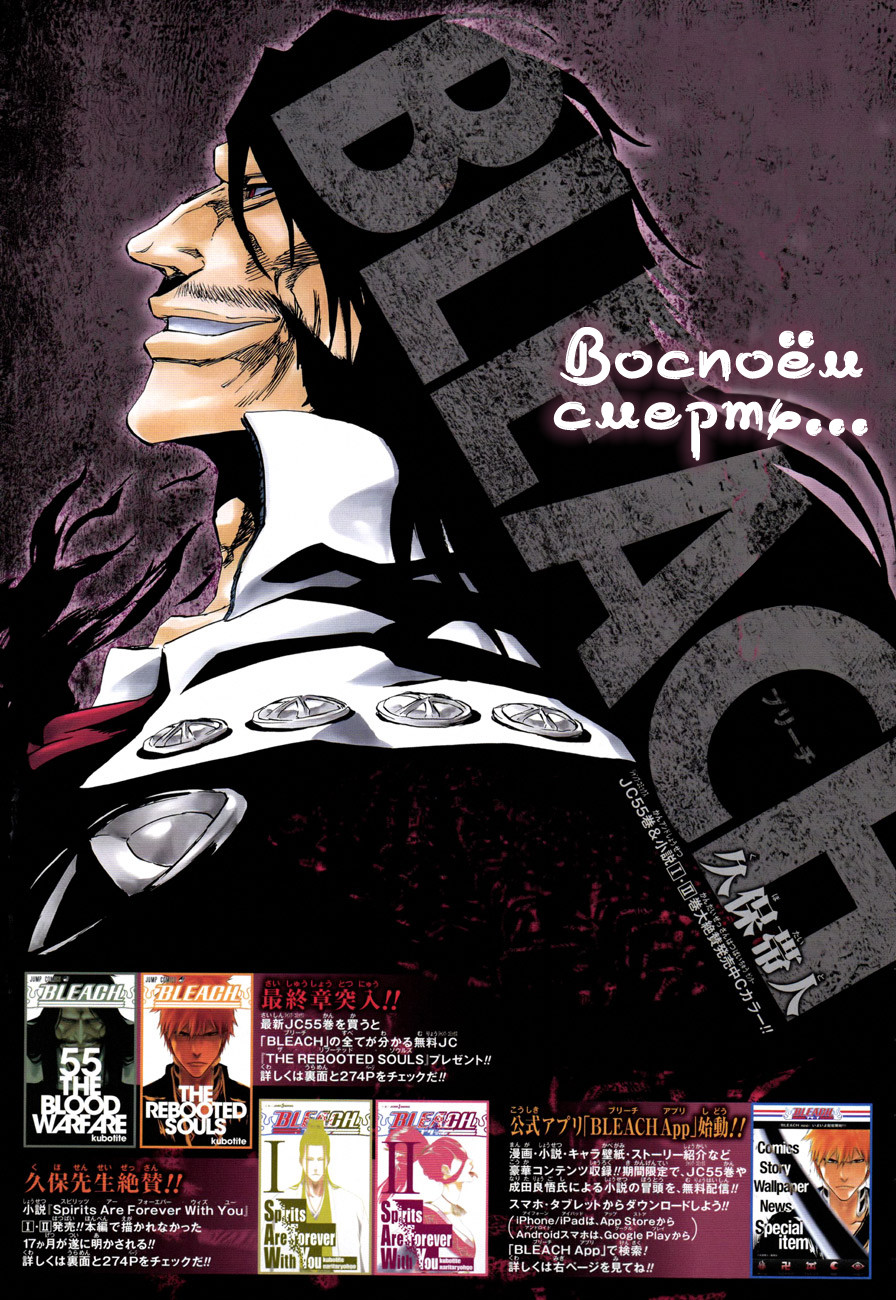Read Bleach RU Manga Online