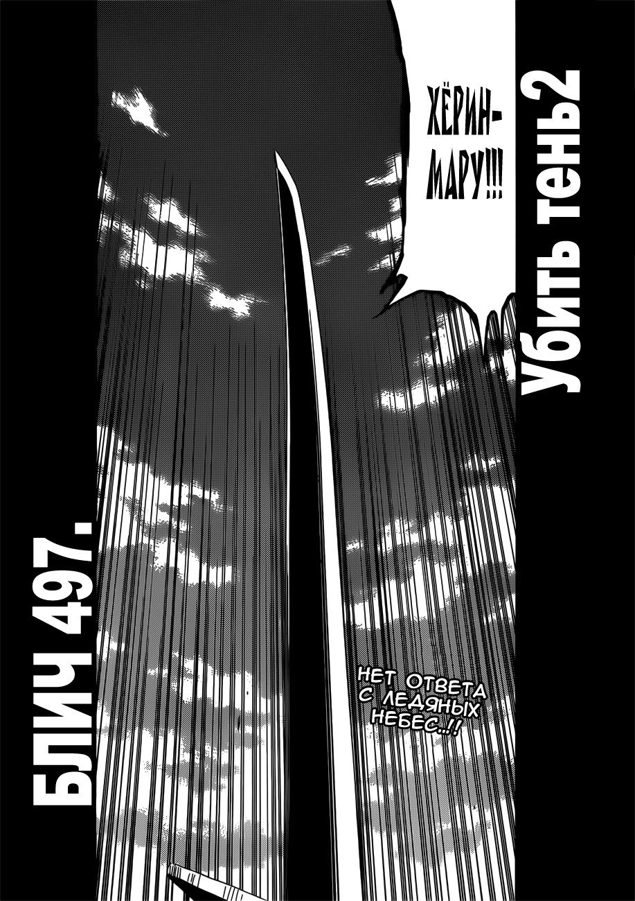 Read Bleach RU Manga Online