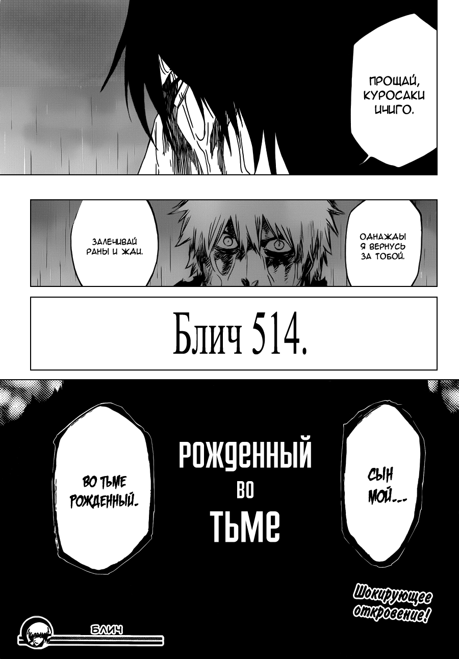 Read Bleach RU Manga Online