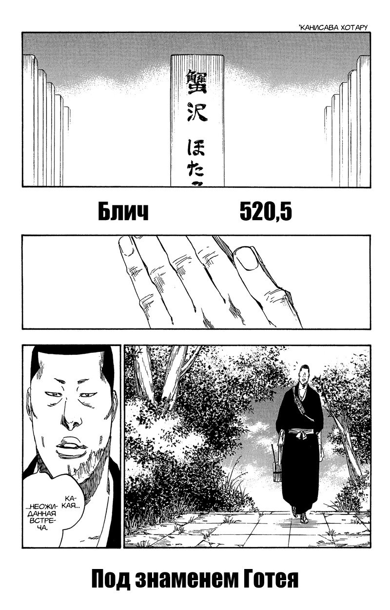 Read Bleach RU Manga Online