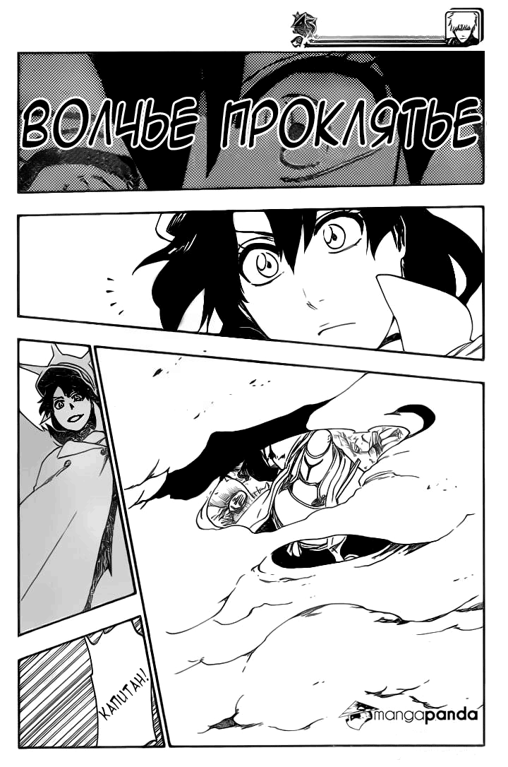 Read Bleach RU Manga Online