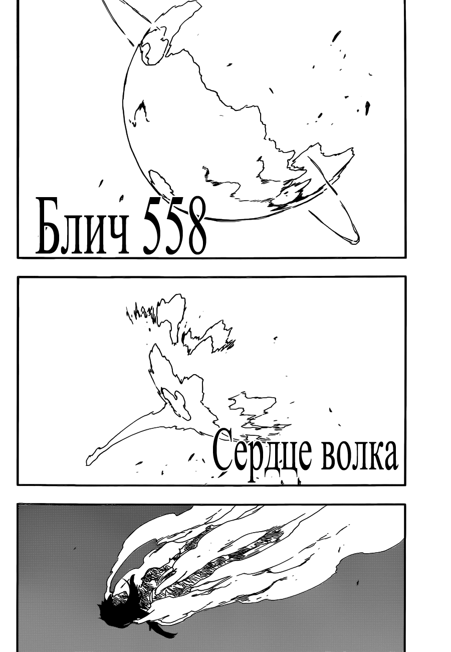 Read Bleach RU Manga Online