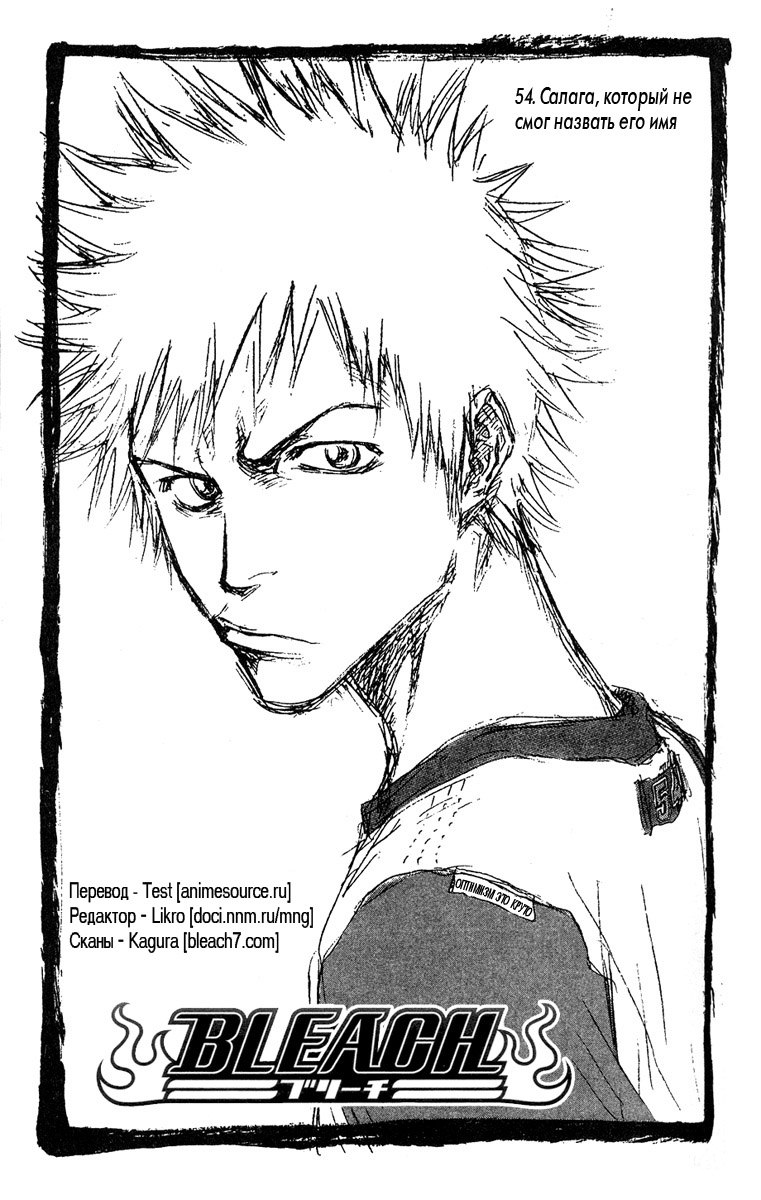 Read Bleach RU Manga Online