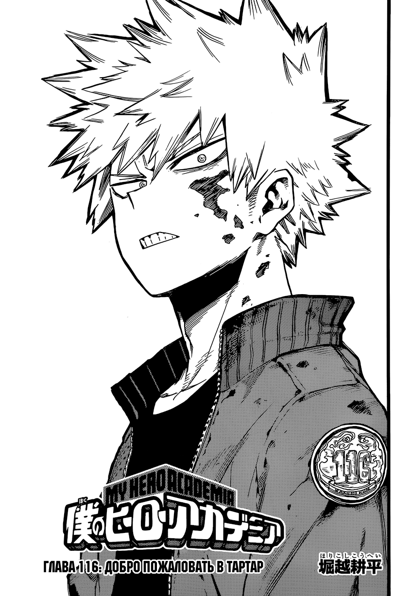 Read Boku no Hero Academia Manga Online