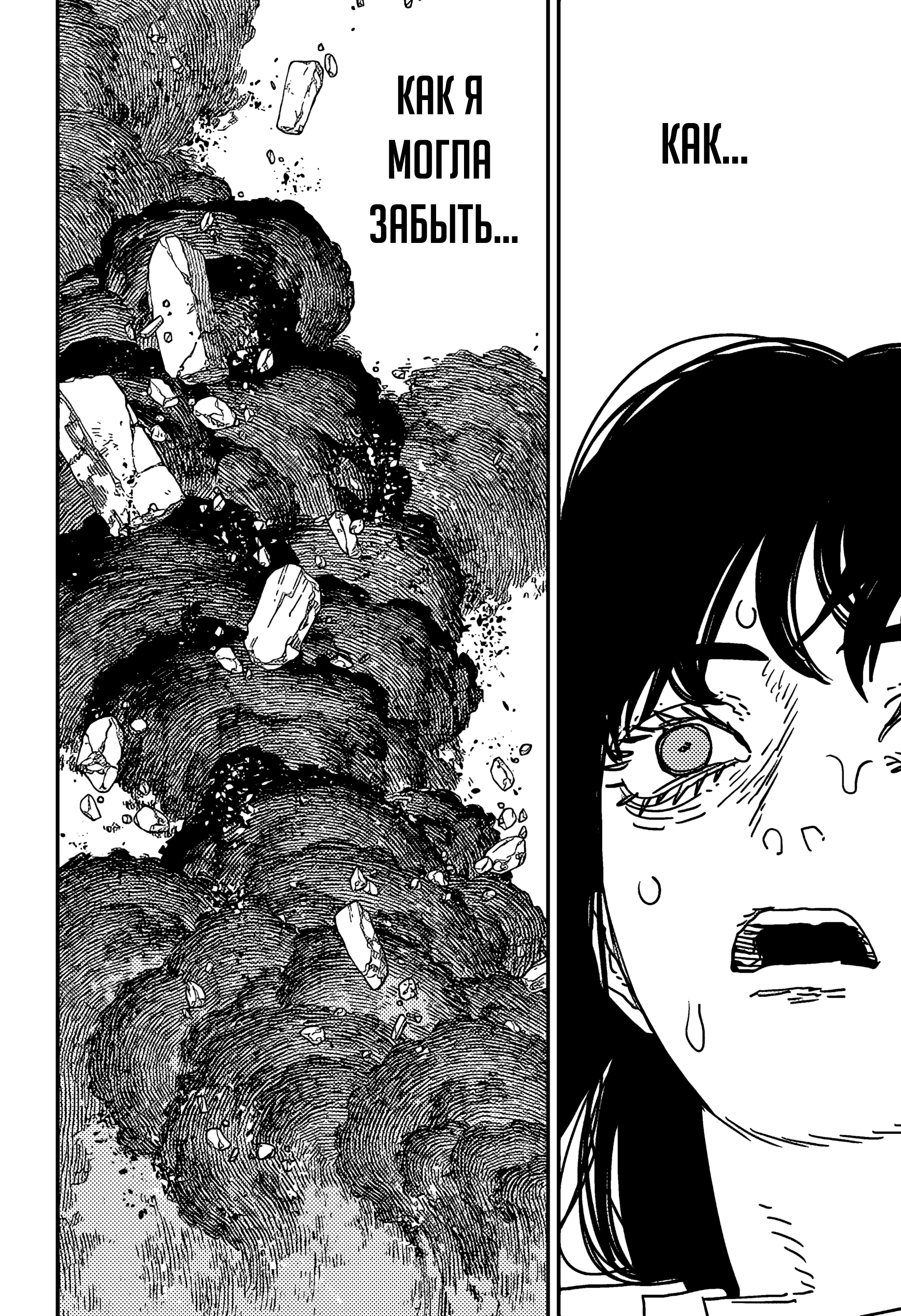 Read Chainsaw Man RU Manga Online