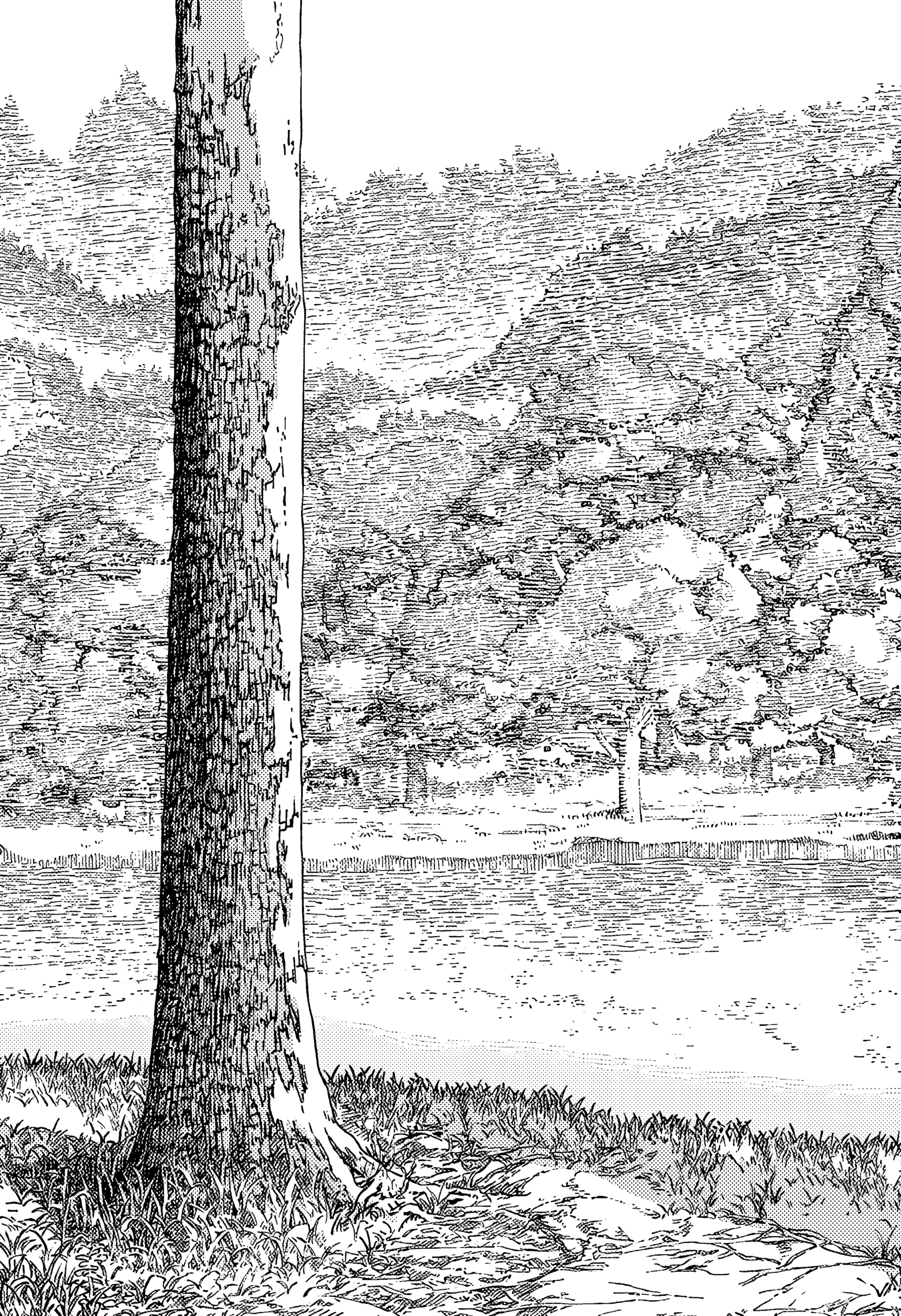 Read Chainsaw Man RU Manga Online