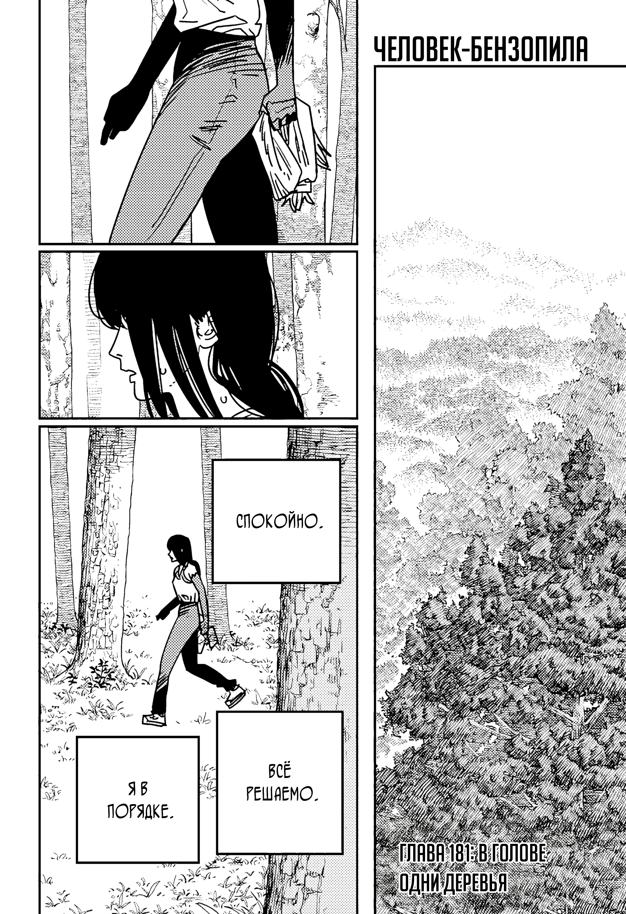 Read Chainsaw Man RU Manga Online