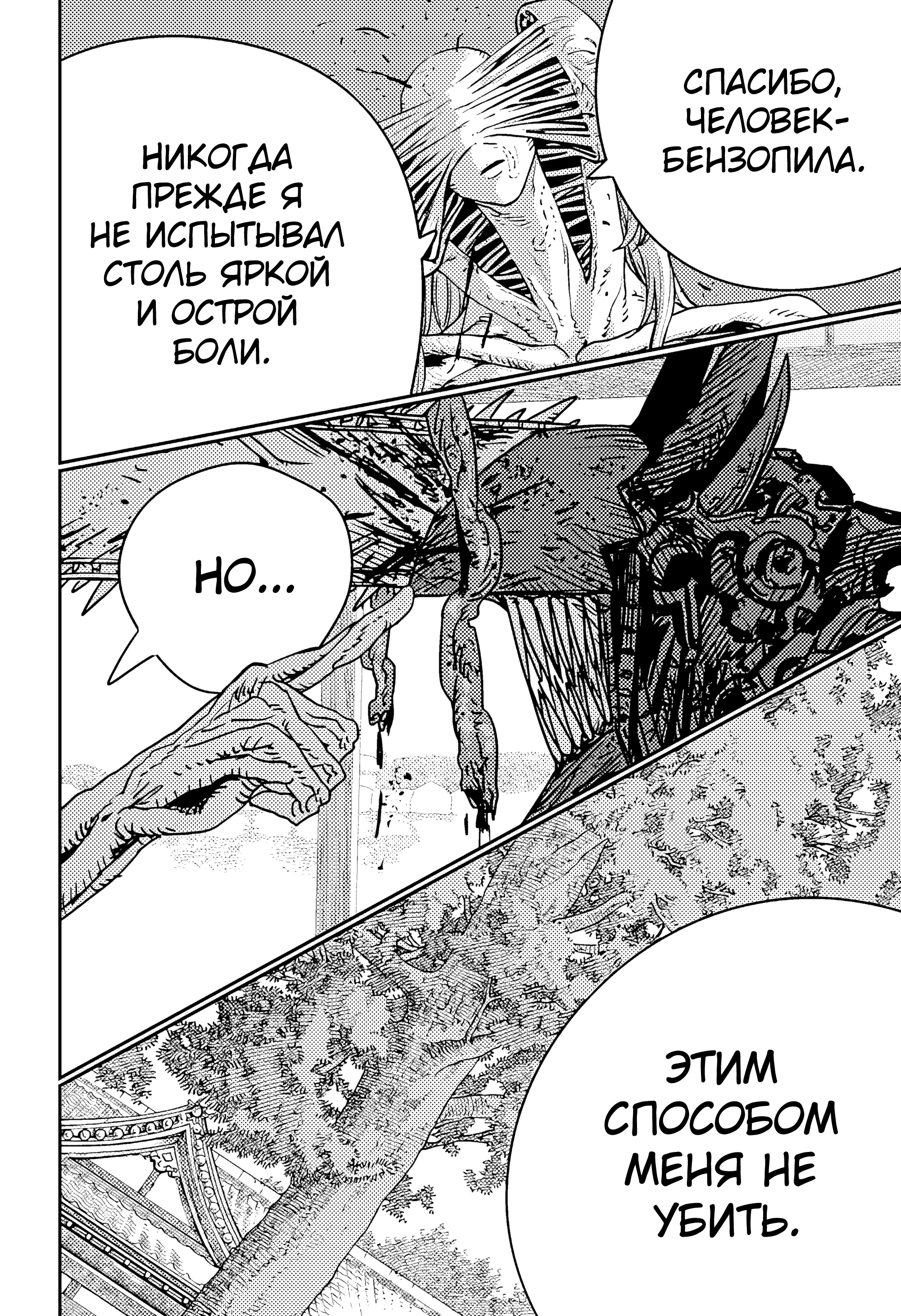 Read Chainsaw Man RU Manga Online